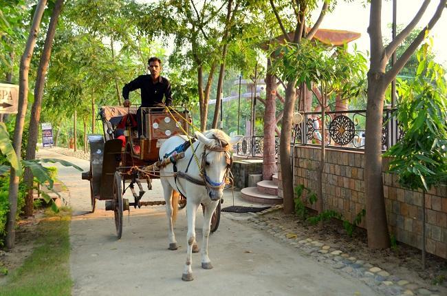 Kangs Nirvana Resorts And Spa Mahalpur Kültér fotó