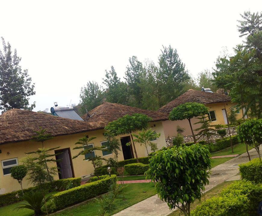 Kangs Nirvana Resorts And Spa Mahalpur Kültér fotó