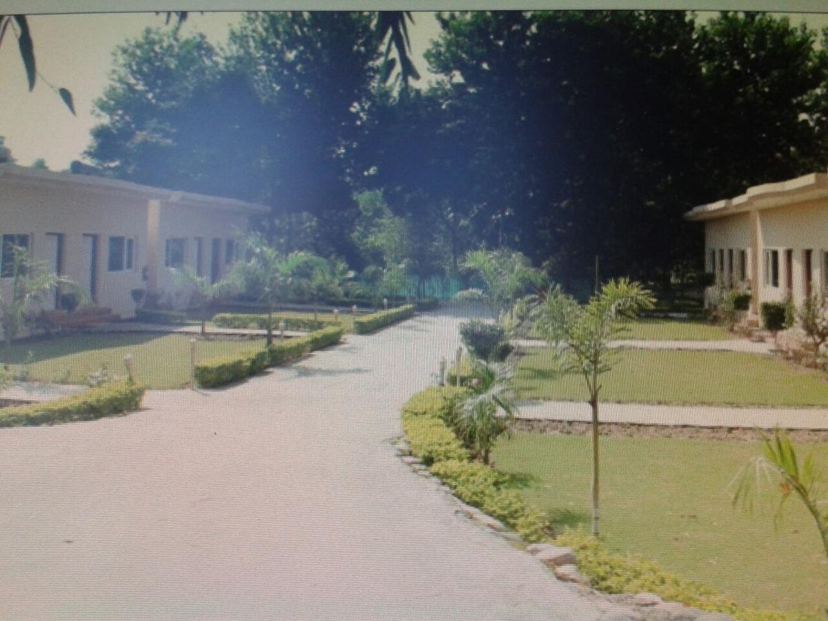 Kangs Nirvana Resorts And Spa Mahalpur Kültér fotó